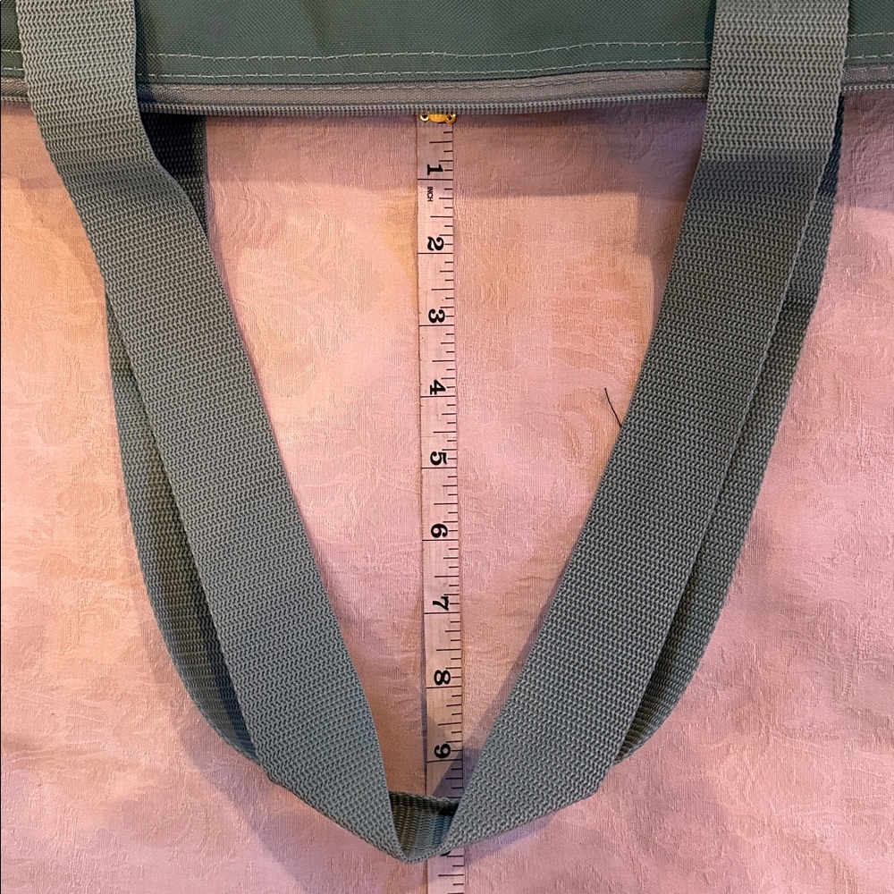 Trader Joe’s Insulated Grocery Bag Limited Edition 8 Gallon Sage Green - Picture 8 of 10
